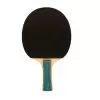 Ρακέτα Ping Pong 'PO50'