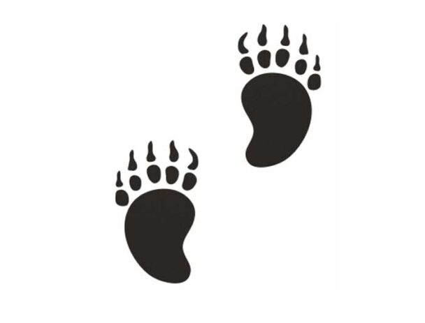 Επιδαπέδιο Σύστημα Παιχνιδιού EPDM 2D -  Πατημασιά Αρκούδας