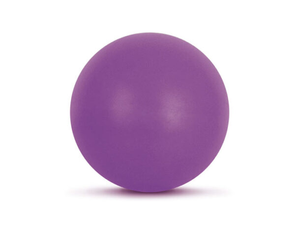 Μπάλα Γυμναστικής Pilates